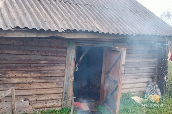Пожарные спасли двух пьяных в Пестяках